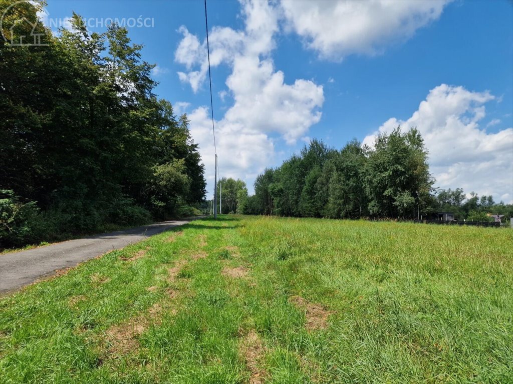 Działka budowlana na sprzedaż Łomna  1 347m2 Foto 13