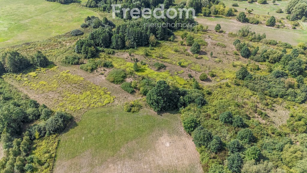 Działka rolna na sprzedaż Ostrówiec  3 924m2 Foto 7