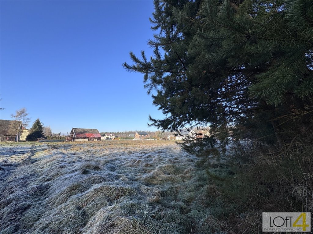 Zapraszam do obejrzenia działki 3100 m² z lasem i mediami Waryś  3 068m2 Foto 1