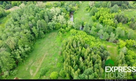 Działka budowlana na sprzedaż Kruszówiec, Nowa  4 500m2 Foto 3