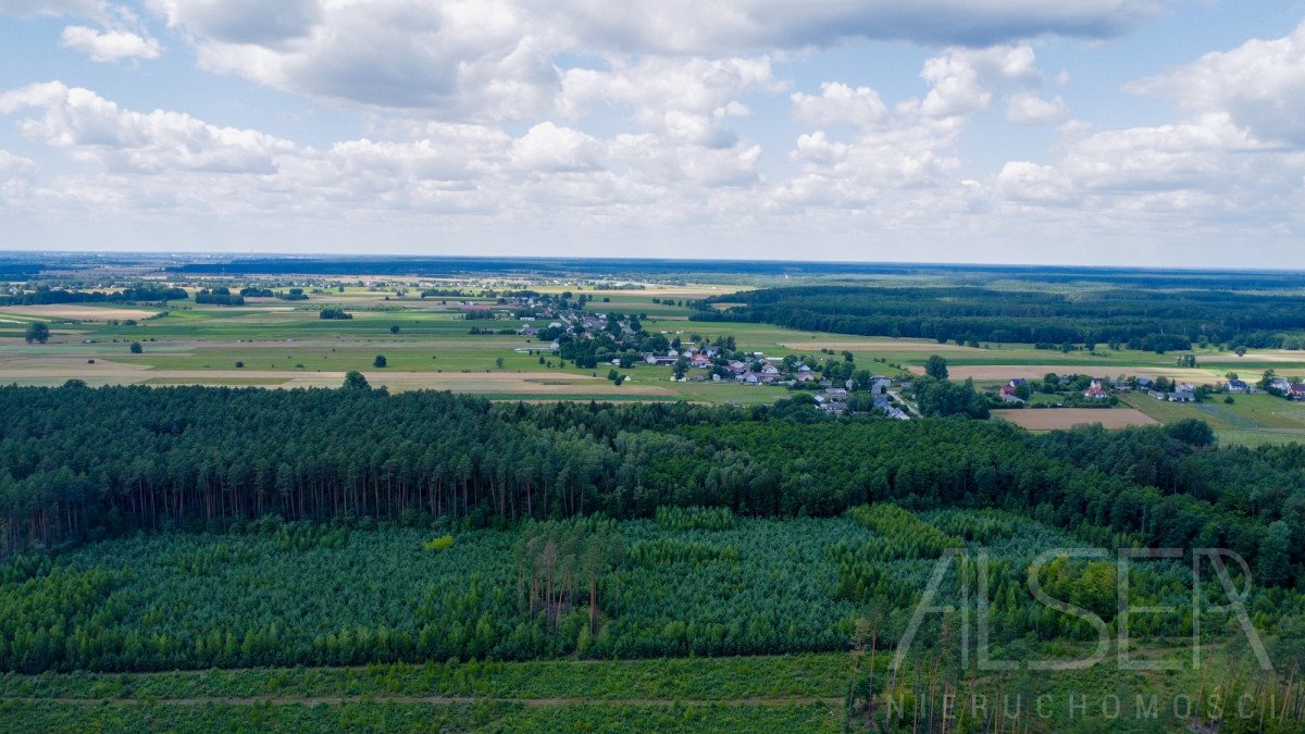 Działka budowlana na sprzedaż Nowy Brańszczyk  2 800m2 Foto 5