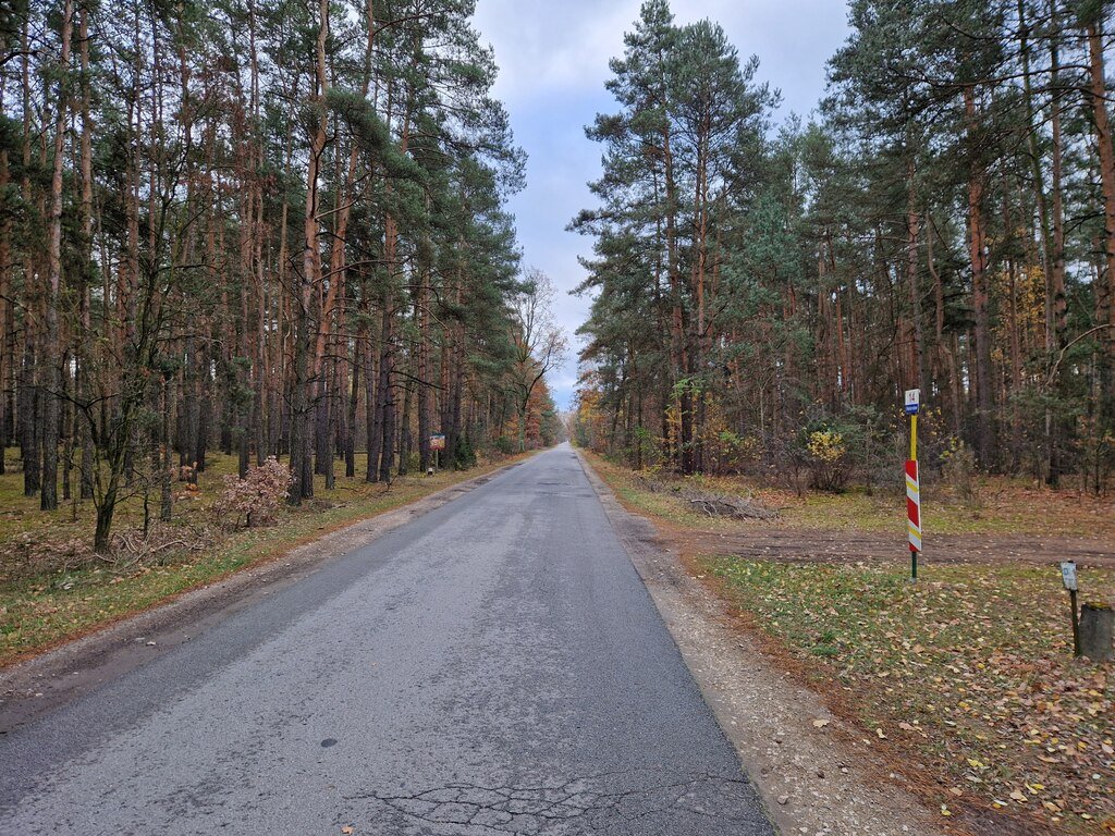 Działka budowlana na sprzedaż Helenów  8 565m2 Foto 5