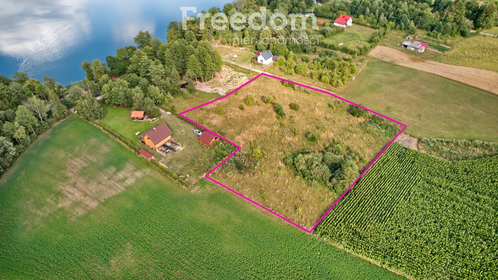 Działka budowlana na sprzedaż Ublik  6 000m2 Foto 4