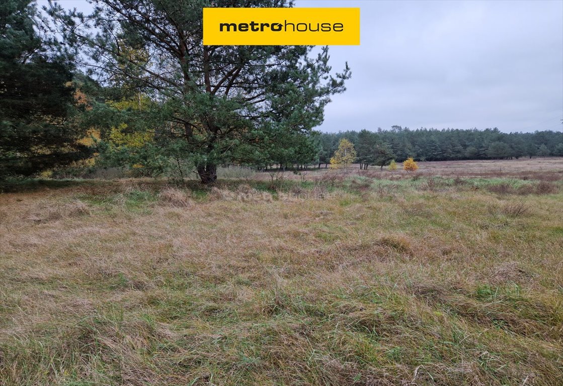 Do sprzedania działka 6 168 m² pod dom letniskowy w Zamku Bierzgłowski Zamek Bierzgłowski  6 168m2 Foto 1