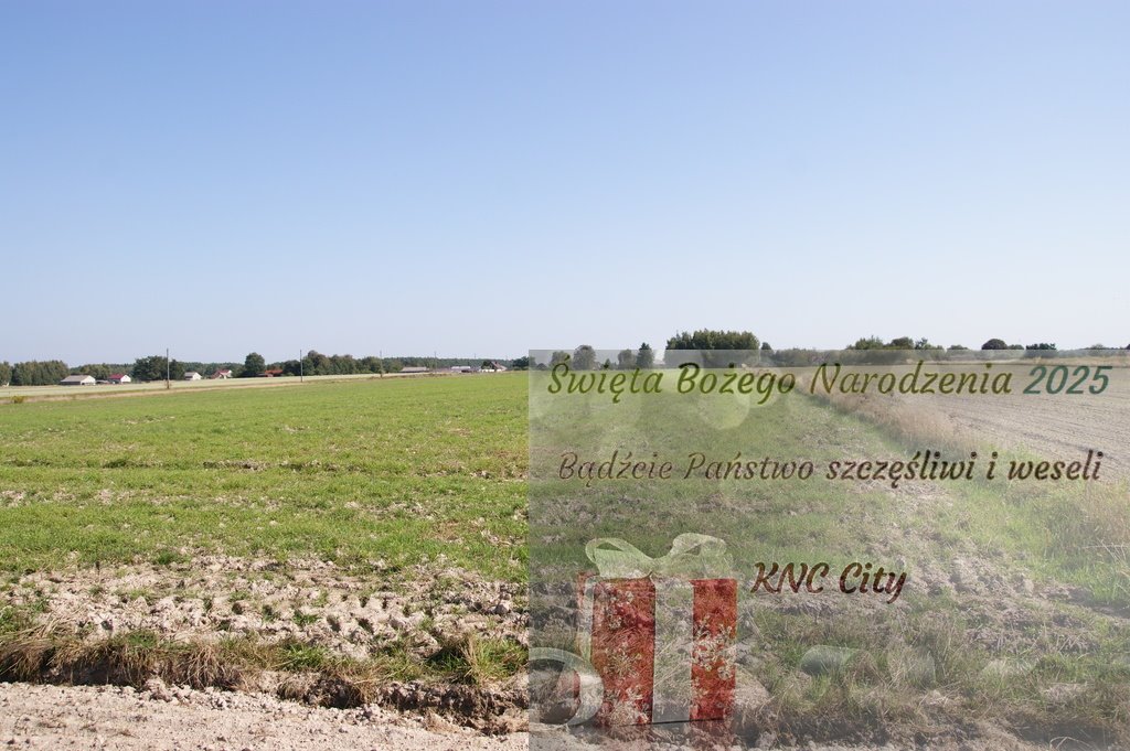 Działka rekreacyjna na sprzedaż Krasne  14 600m2 Foto 1