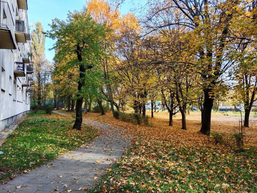 Mieszkanie dwupokojowe na sprzedaż Łódź, Bałuty, Zmienna  50m2 Foto 4