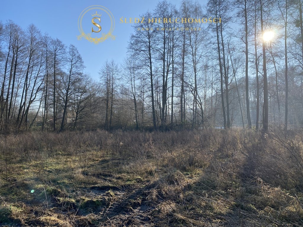 Działka budowlana na sprzedaż Straszowice  2 878m2 Foto 8