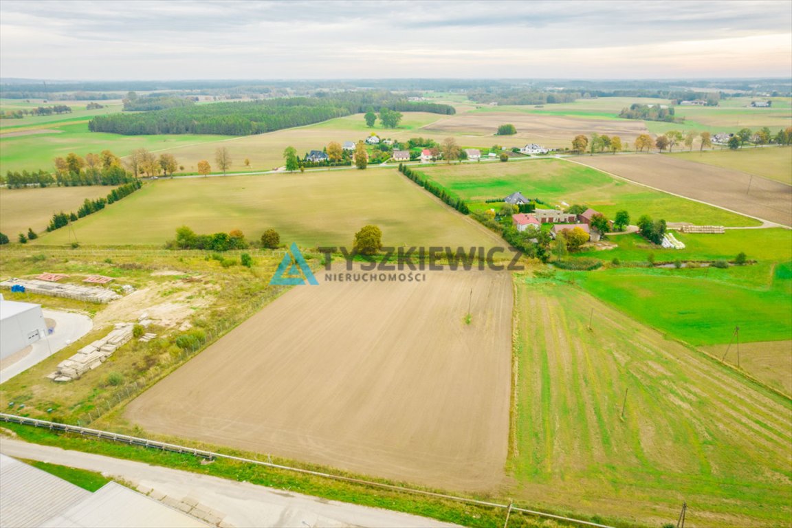 Działka przemysłowo-handlowa na sprzedaż Wielki Klincz  10 900m2 Foto 4