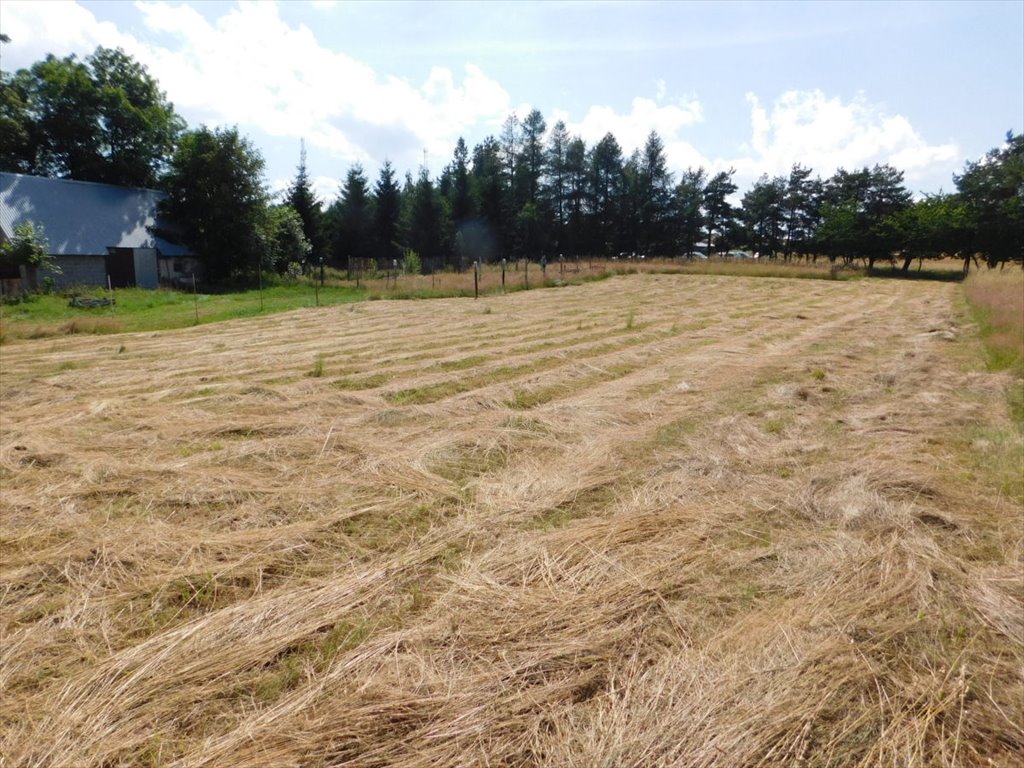 Działka budowlana na sprzedaż Duszniki-Zdrój  2 622m2 Foto 1