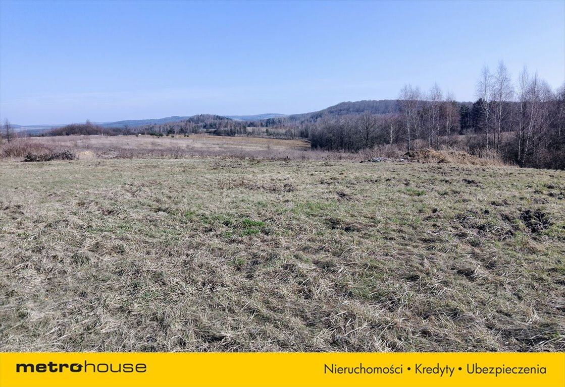 Działka budowlana na sprzedaż Zawiercie, Jurajska  25 700m2 Foto 4
