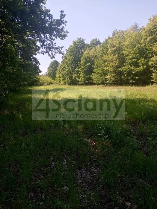 Działka budowlana na sprzedaż Chrzanów Mały  2 461m2 Foto 1