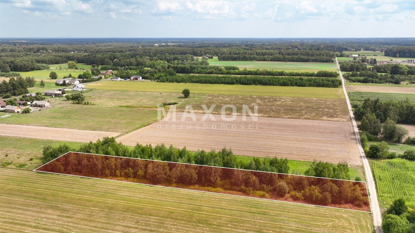 Działka budowlana na sprzedaż Ciepłe A  15 600m2 Foto 5