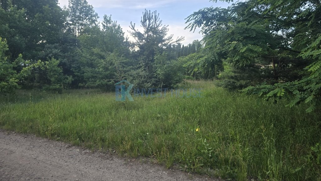 Działka 2200 m² w Czarnowie z mediami i lasem Czarnów  2 200m2 Foto 1