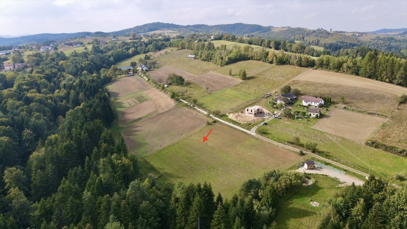 Działka budowlana na sprzedaż Bartkowa-Posadowa  1 836m2 Foto 5