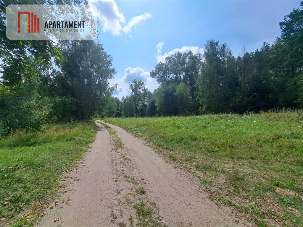 Działka leśna na sprzedaż Iwiczno  3 000m2 Foto 5