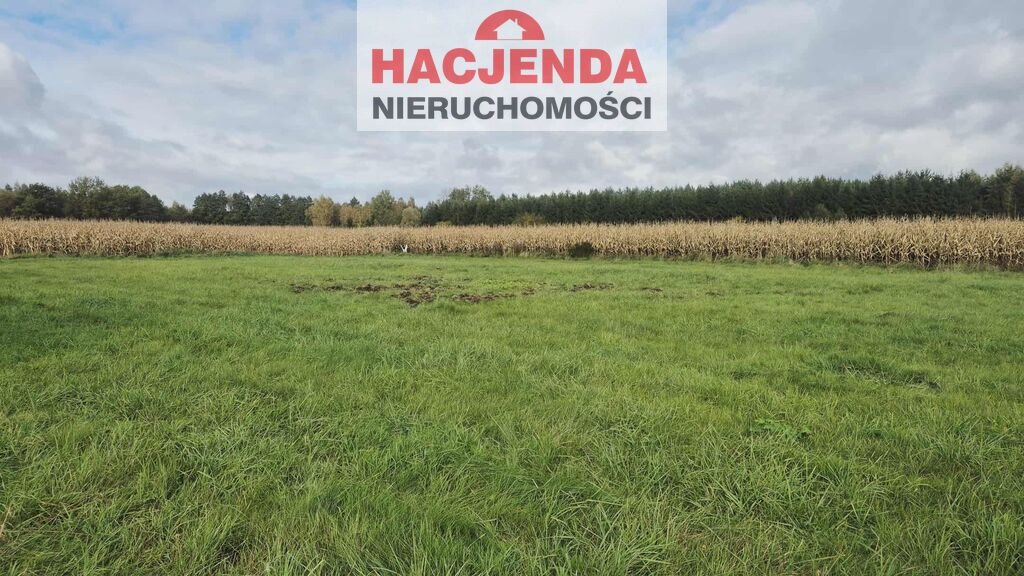 Działka rolna 3000 m² w Tatynii – inwestycyjna okazja Tatynia  3 000m2 Foto 1