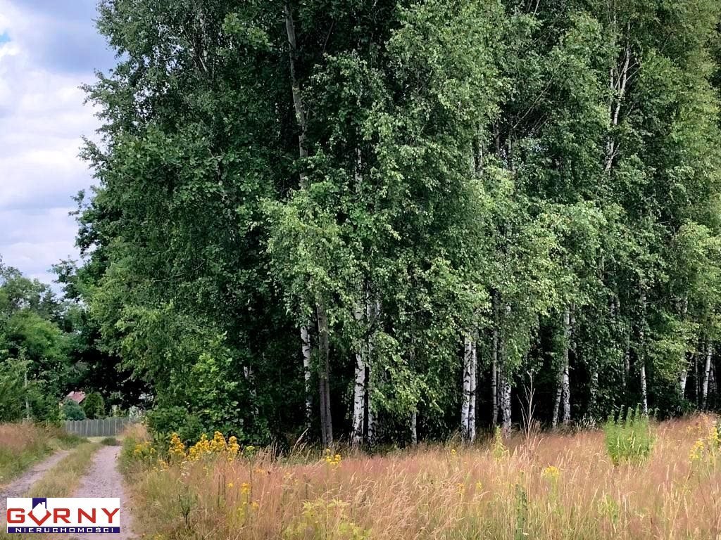 Działka rolna 1300 m² w Machorach, klasa RIVb/RV Maleniec  1 300m2 Foto 1