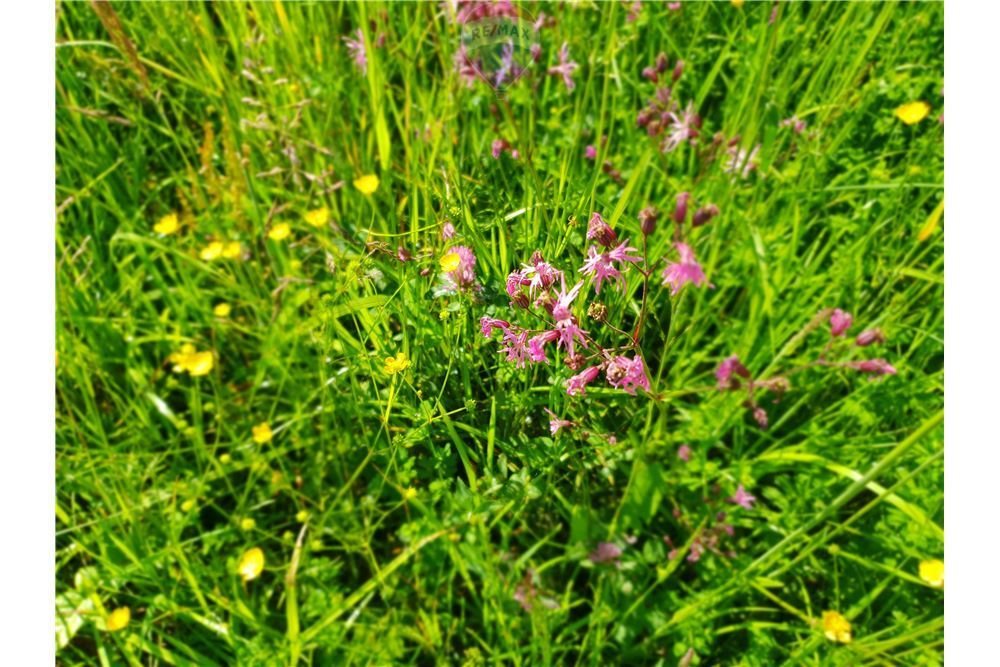 Działka budowlana na sprzedaż Grodziec 1 220m2 Foto 1 Działka budowlana na sprzedaż Grodziec 1 220m2 Foto 1