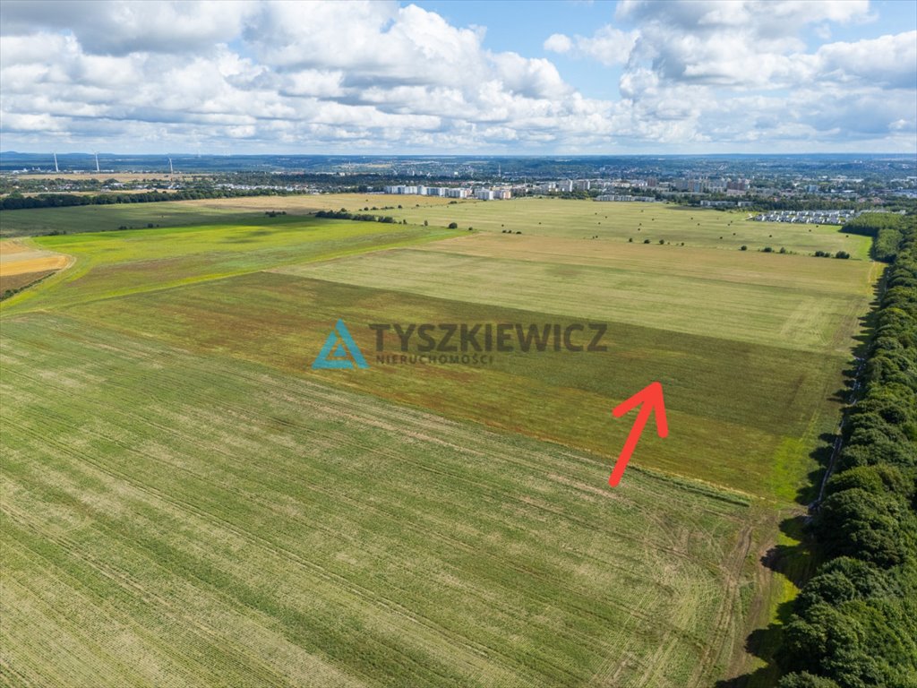 Zdjęcie 5
