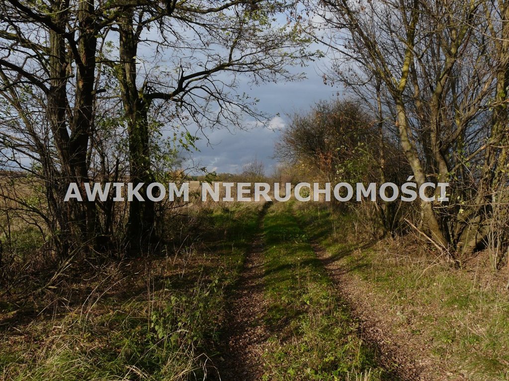 Działka inwestycyjna na sprzedaż Puszcza Mariańska, Wycześniak  162 570m2 Foto 9