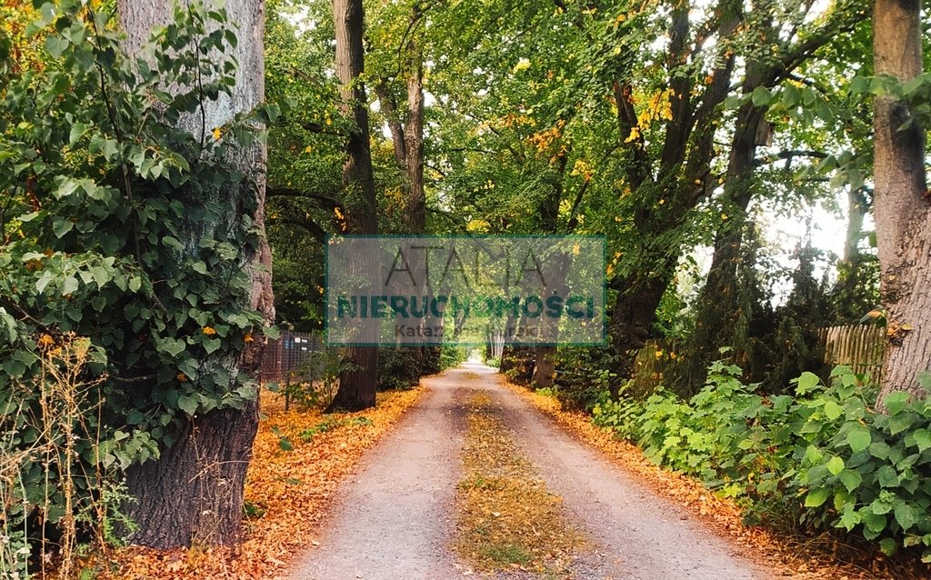Do sprzedania działka 1580 m² z mediami w Adamowiznie Adamowizna  1 580m2 Foto 1