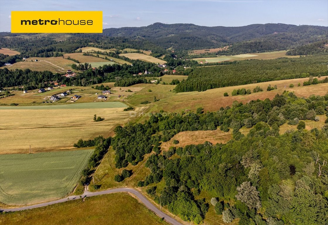 Działka rekreacyjna na sprzedaż Wojciechowice  110 000m2 Foto 1