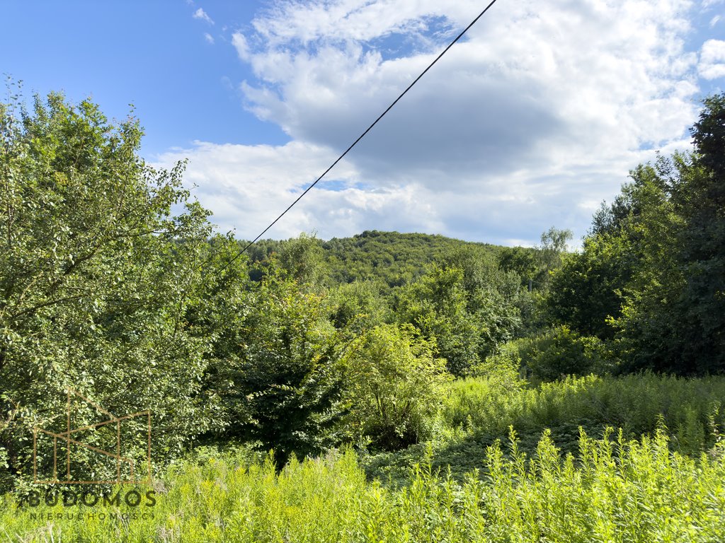 Działka rolna na sprzedaż Dębowa  7 200m2 Foto 8