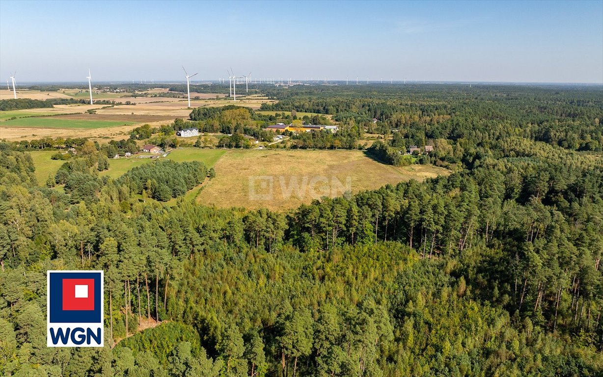 Działka siedliskowa na sprzedaż Kanin, Kanin  3 101m2 Foto 8