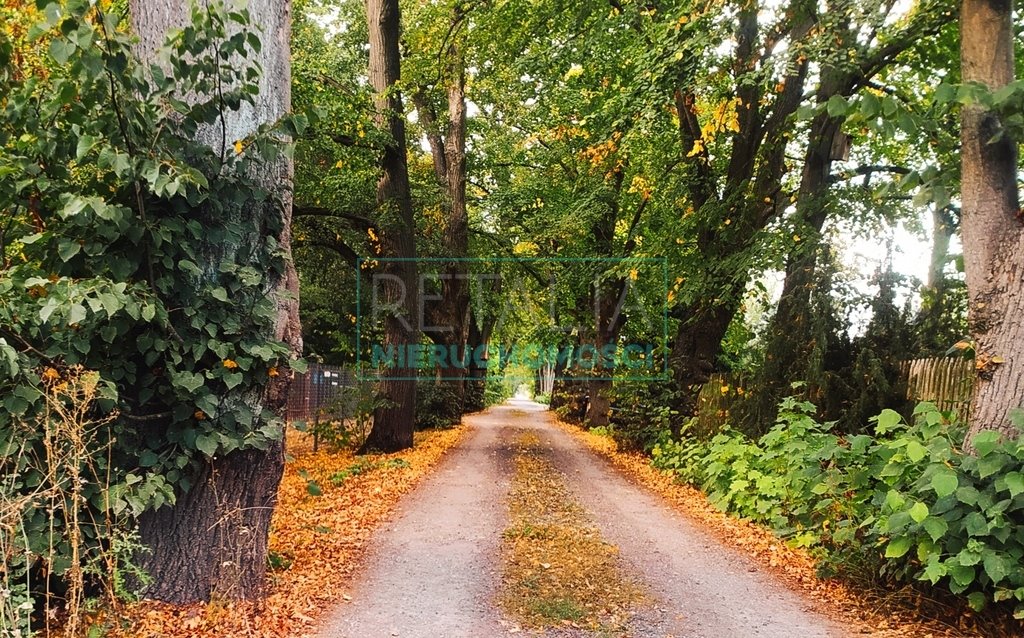 Działka 1580 m² z mediami, planem MZ, Adamowizna Adamowizna  1 580m2 Foto 1