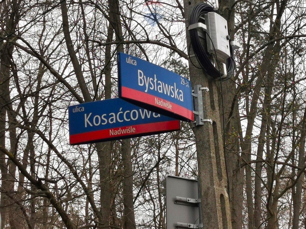 Działka leśna na sprzedaż Warszawa, Wawer, Bysławska  2 547m2 Foto 2