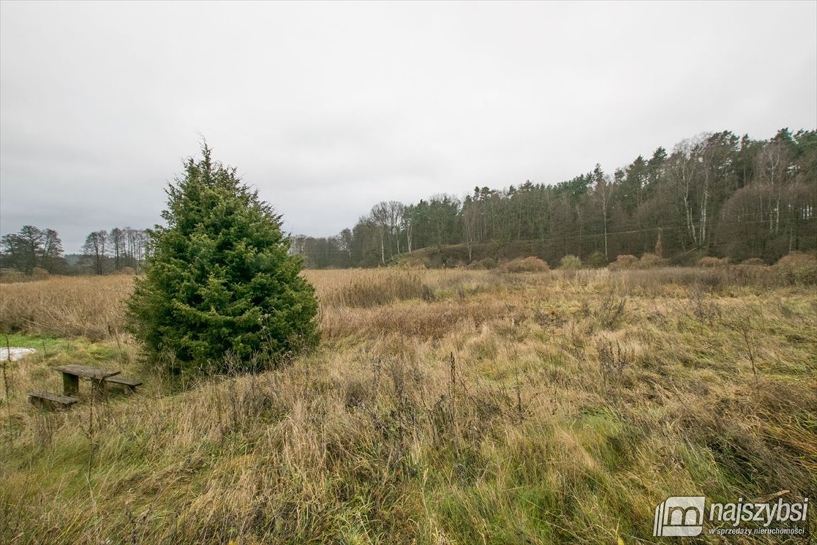 Lokal użytkowy na sprzedaż Bledzew  440m2 Foto 23