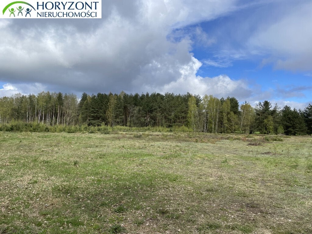 Działka 1400 m² z warunkami zabudowy, las i jeziora - polecam! Kamień  1 400m2 Foto 1