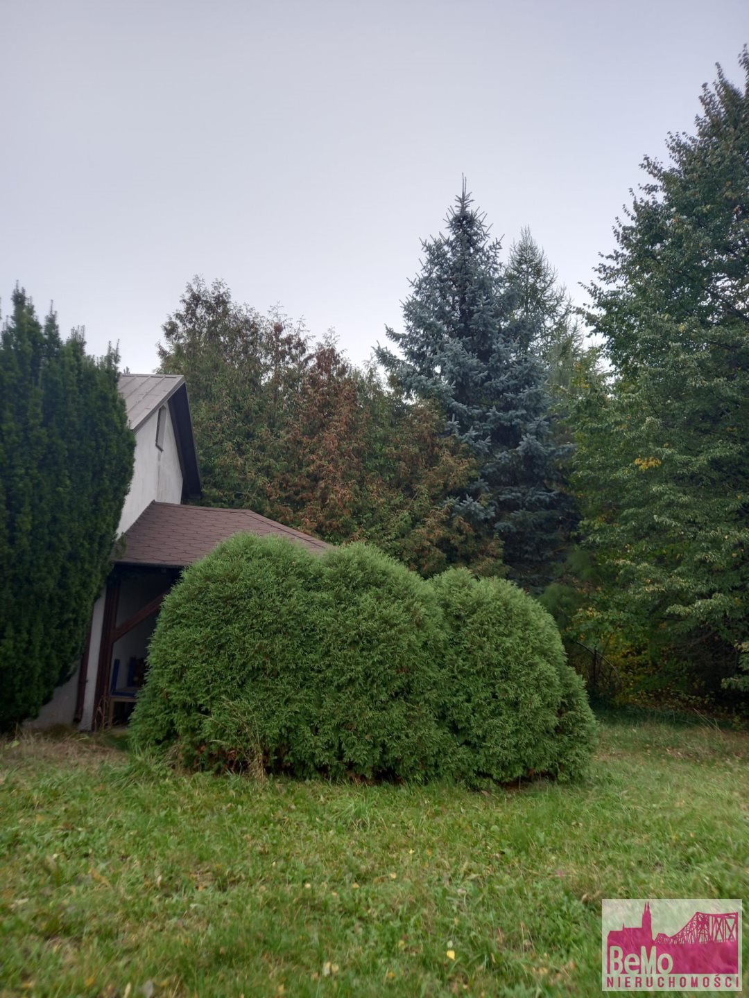 Działka inna na sprzedaż Bodzanówek  48 500m2 Foto 13