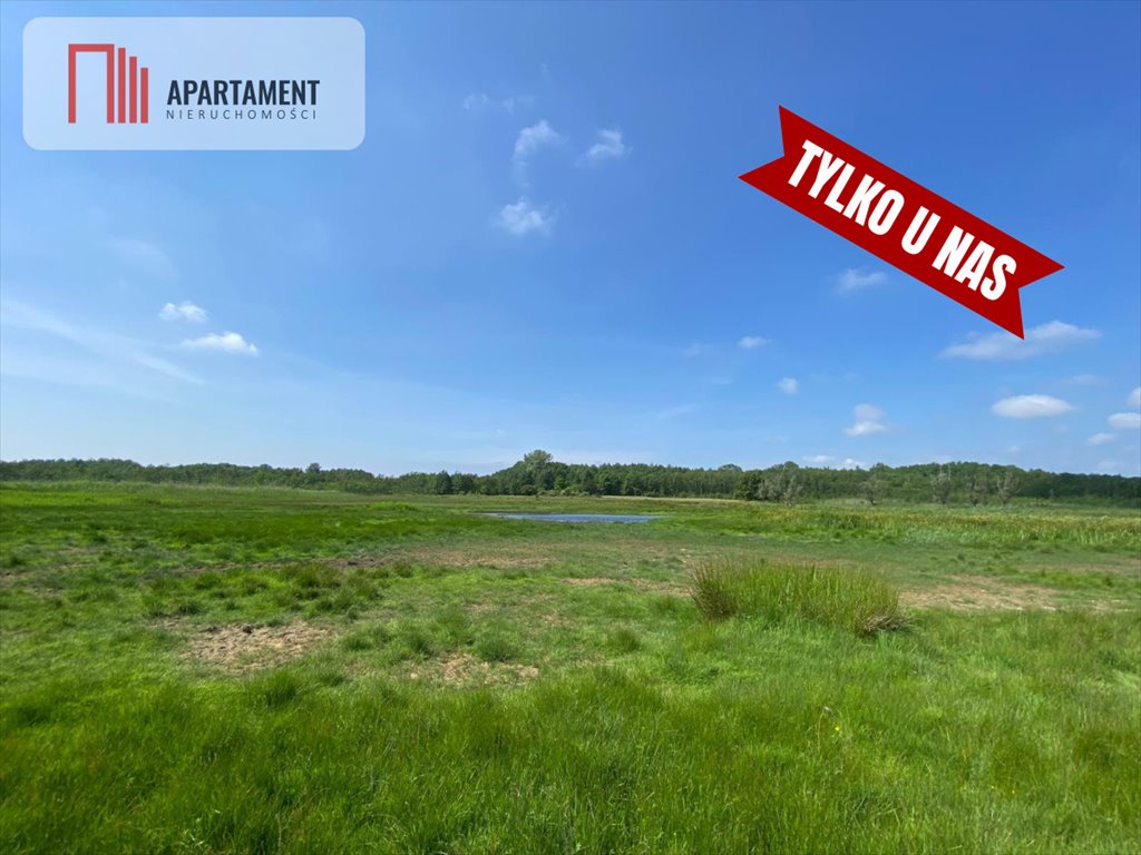 Działka rolna 19 000 m² nad Rzeką Dziwną w Jarzębowie Jarzębowo  19 000m2 Foto 1