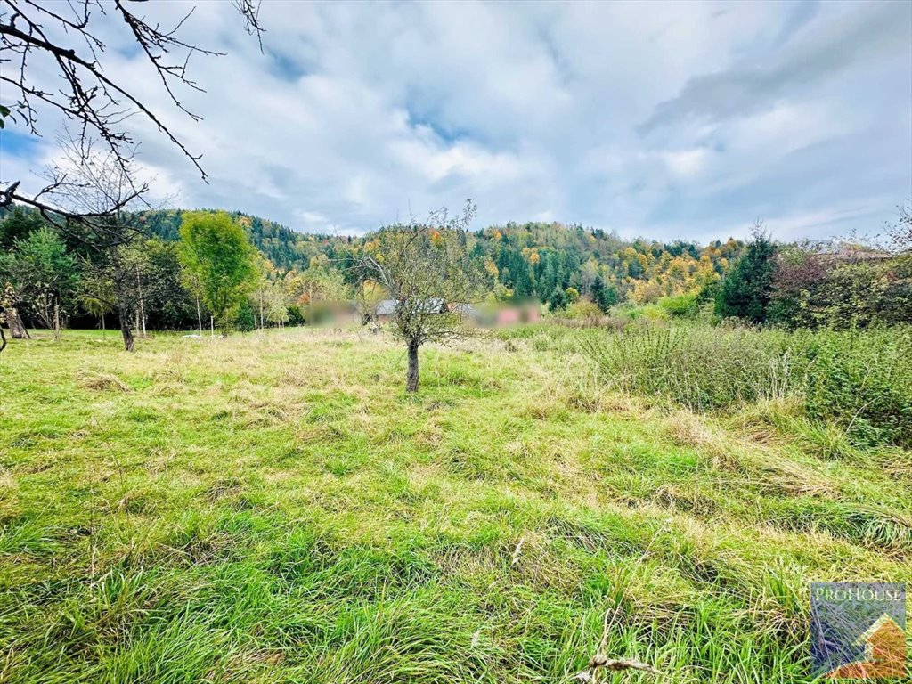 Działka budowlana na sprzedaż Kamienica  1 000m2 Foto 2