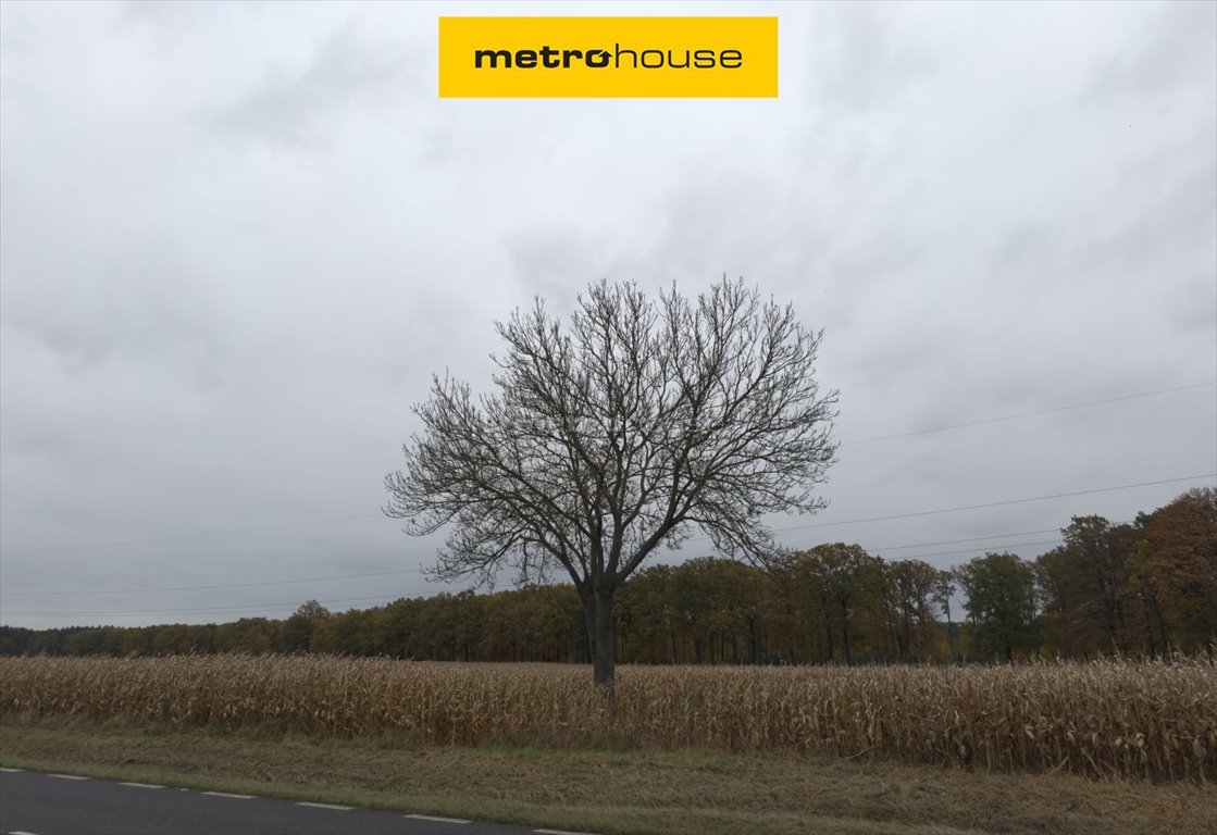 Działka inna na sprzedaż Sanie  55 000m2 Foto 1