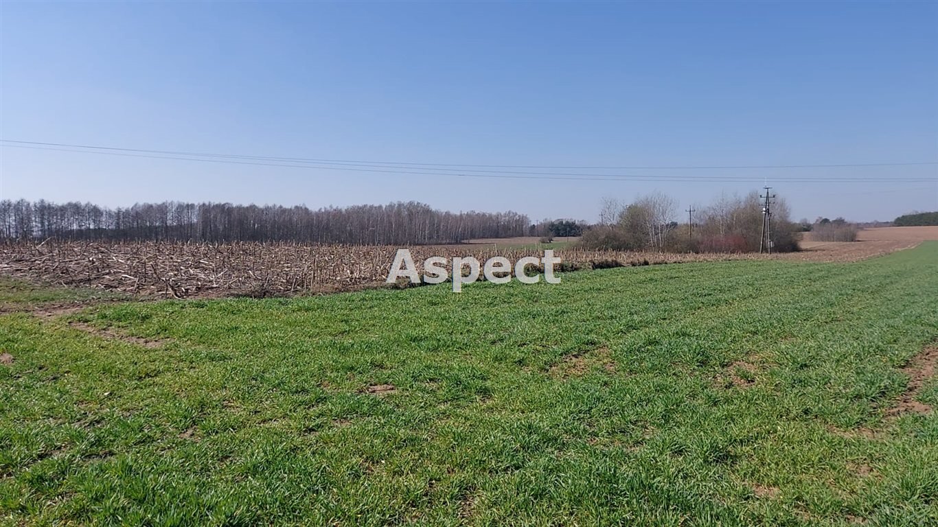 Działka rolna na sprzedaż Żuromin  10 051m2 Foto 1