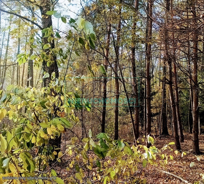 Działka budowlana na sprzedaż Radonie  1 500m2 Foto 1