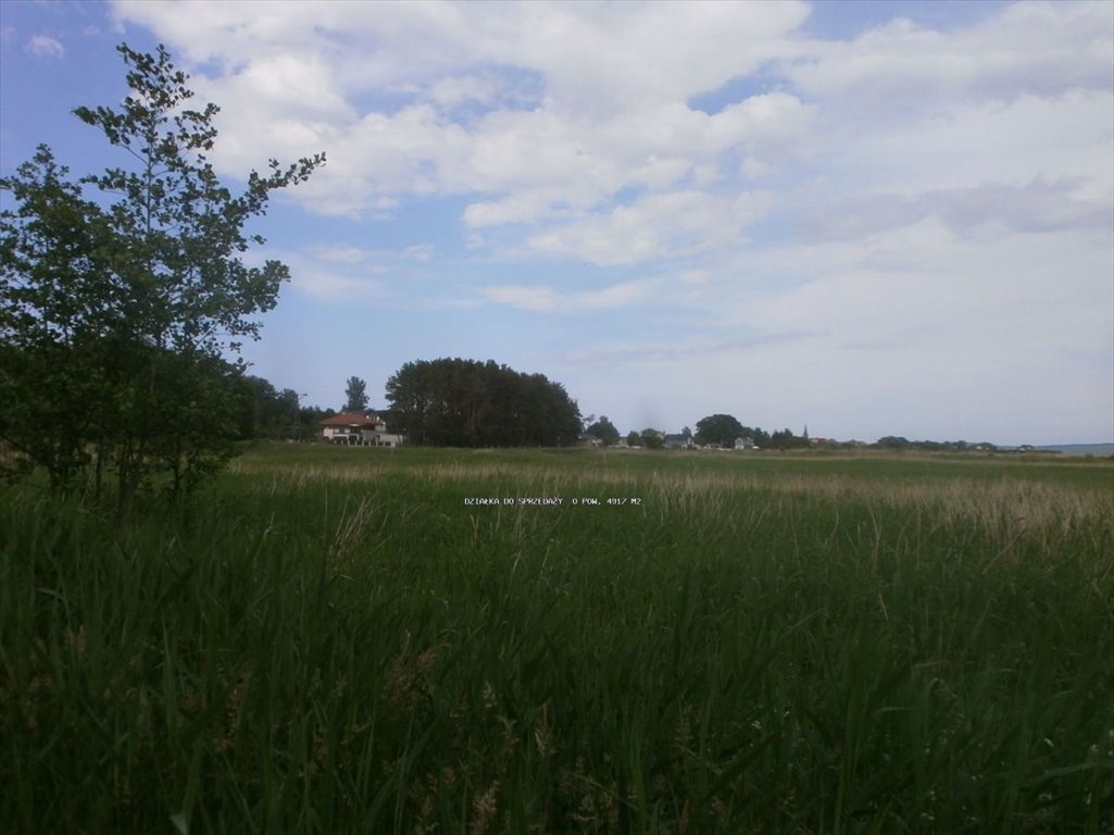 Zdjęcie 4