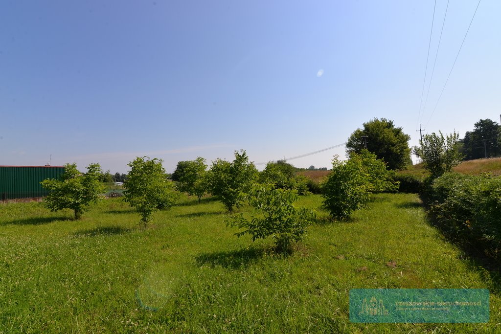 Działka rolna na sprzedaż Świlcza  1 500m2 Foto 4