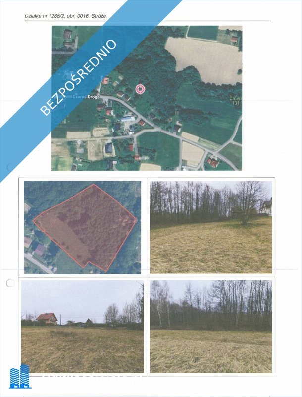Działka 6504 m2 w Stróżach – bez prowizji, atrakcyjna oferta Stróże  6 504m2 Foto 1