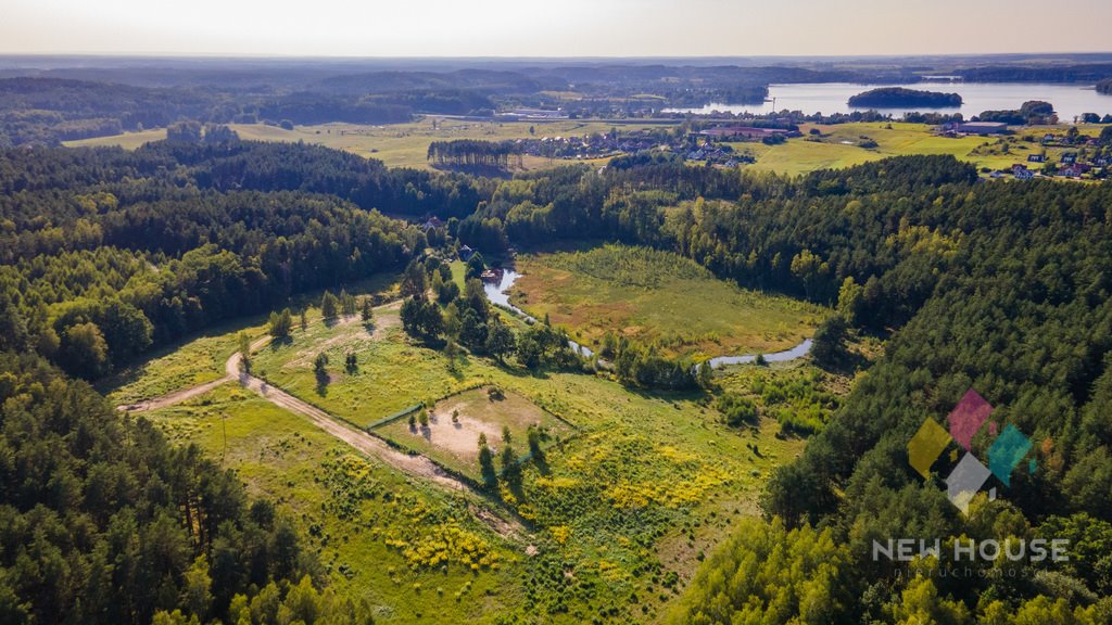 Działka budowlana na sprzedaż Dorotowo  3 811m2 Foto 5