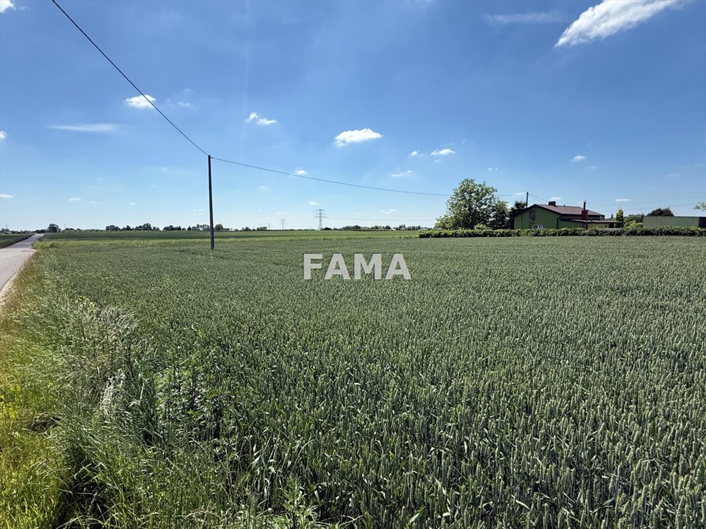 Zapraszam do obejrzenia działki 1136 m² z warunkami zabudowy Chełmica Duża  1 136m2 Foto 1