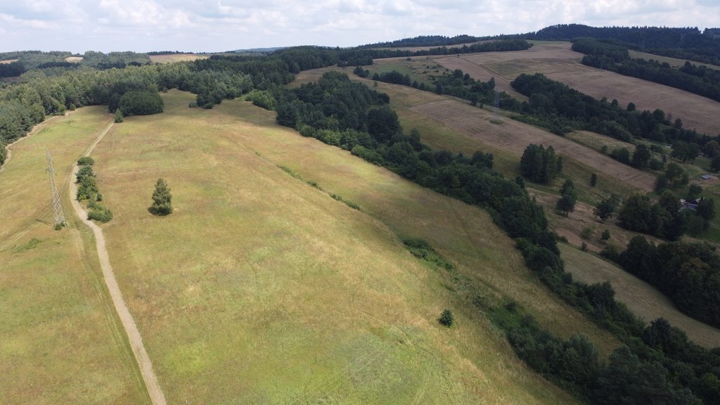 Działka budowlana na sprzedaż Korzeniec  61 494m2 Foto 9