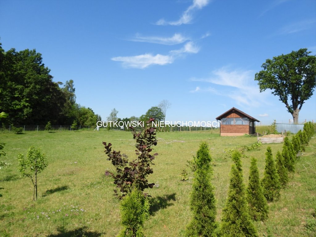 Działka siedliskowa na sprzedaż Nejdyki  3 006m2 Foto 1