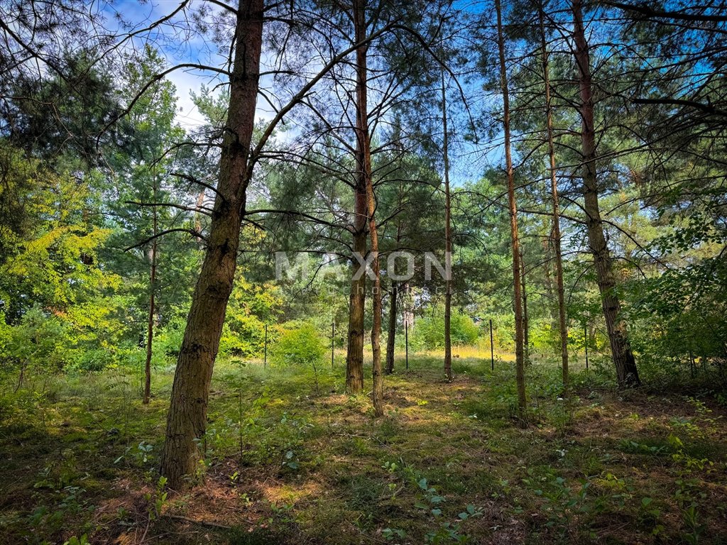 Działka rekreacyjna na sprzedaż Kruczy Borek  1 000m2 Foto 7