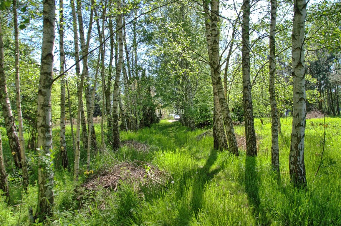 Działka inna na sprzedaż Śliwice, Aleja Dębowa  250m2 Foto 9