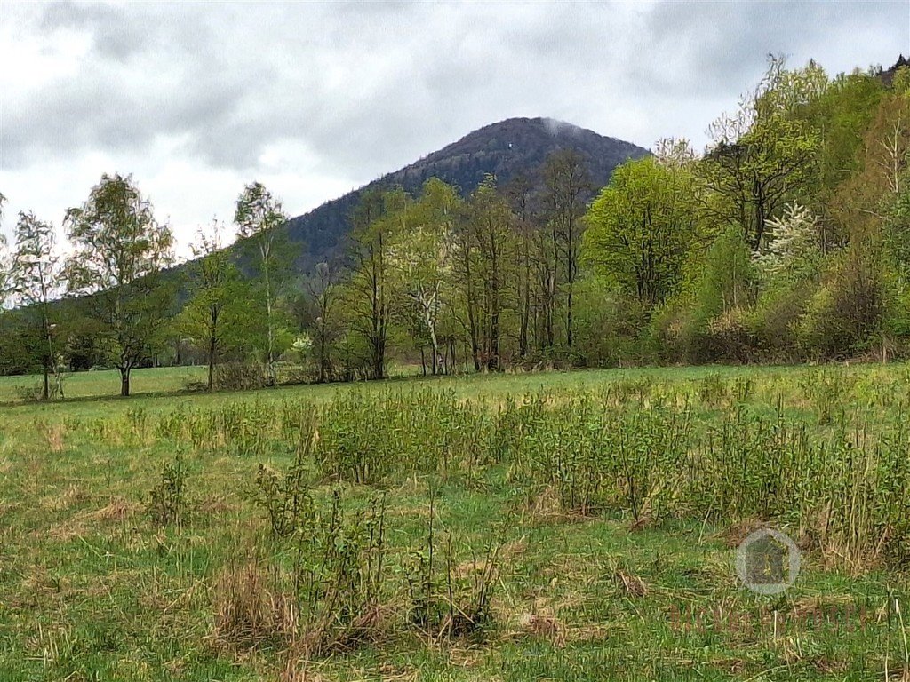 Działka 4800 m² z widokiem na góry, dojazd asfaltowy Jaworek  4 800m2 Foto 1