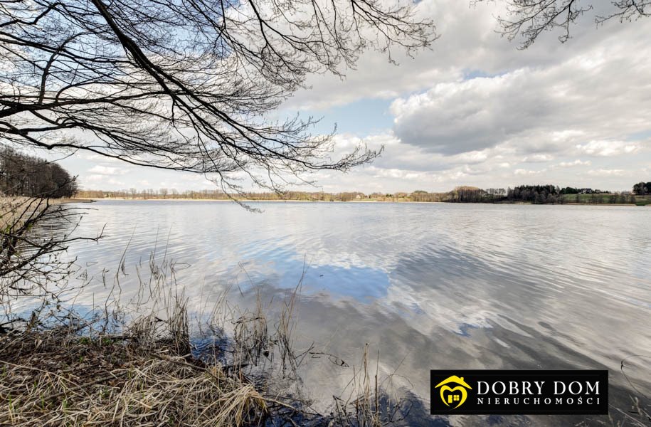 Działka budowlana na sprzedaż Przejma Mała  14 300m2 Foto 8