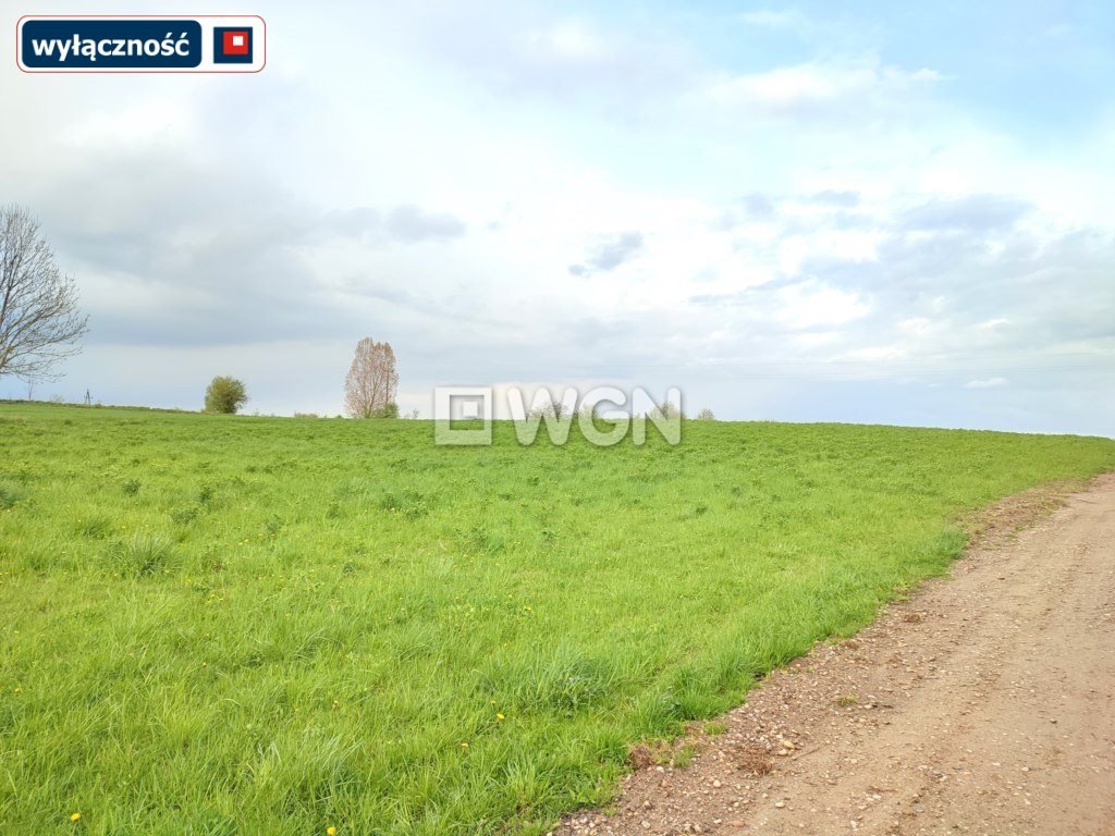 Działka inna na sprzedaż Miłusze  1 330m2 Foto 4